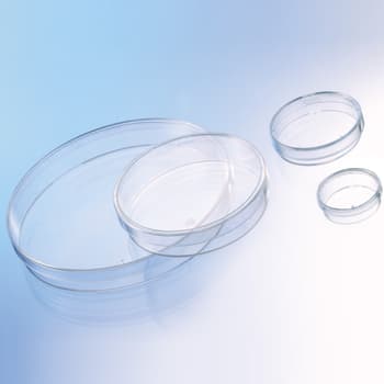 3 Vents Greiner Bio-One 663161 Polystyrene Petri Dish Pack of 420 Heavy Version Sterile 100 mm Diameter x 15 mm H